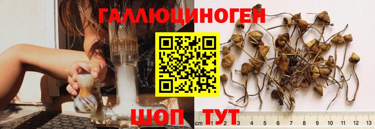 Павловский Посад  Галлюциногенные грибы Psilocybe  Вход с VPN  Псилоцибиновые грибы ЛСД 