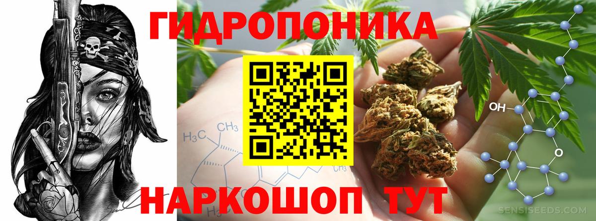 Каннабис план Павловский Посад